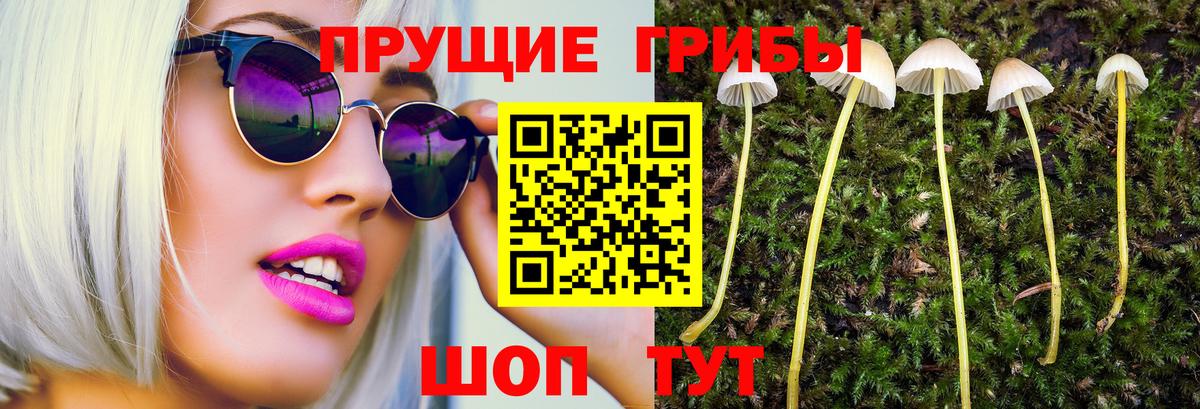 Псилоцибиновые грибы мухоморы Красногорск